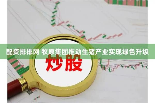 配资排排网 牧原集团推动生猪产业实现绿色升级
