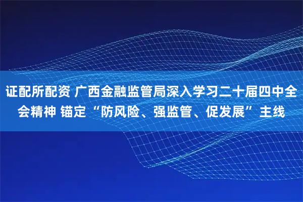 证配所配资 广西金融监管局深入学习二十届四中全会精神 锚定 “防风险、强监管、促发展” 主线