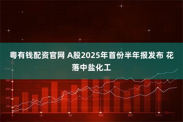粤有钱配资官网 A股2025年首份半年报发布 花落中盐化工