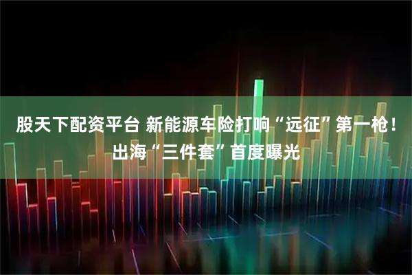 股天下配资平台 新能源车险打响“远征”第一枪！出海“三件套”首度曝光