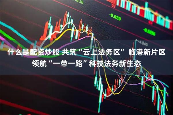 什么是配资炒股 共筑“云上法务区” 临港新片区领航“一带一路”科技法务新生态